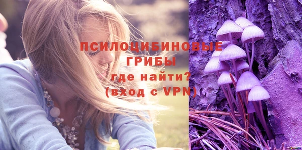 СК Богданович