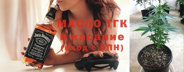 apvp Бородино