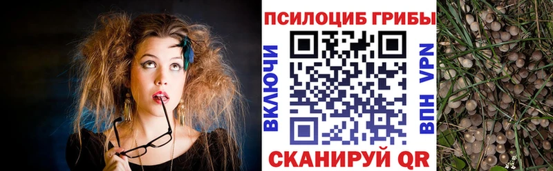 Псилоцибиновые грибы мухоморы  хочу   Дивногорск 