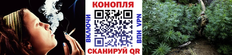 где найти наркотики  Дивногорск  Бошки Шишки OG Kush 